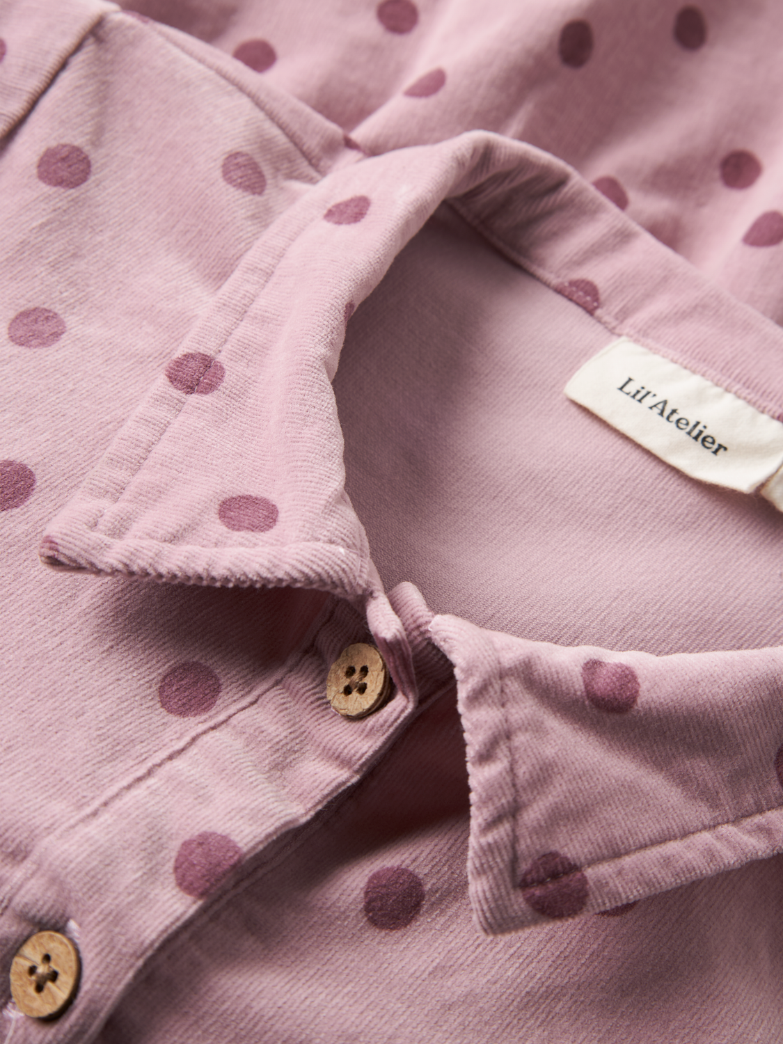 model_shot-front_full